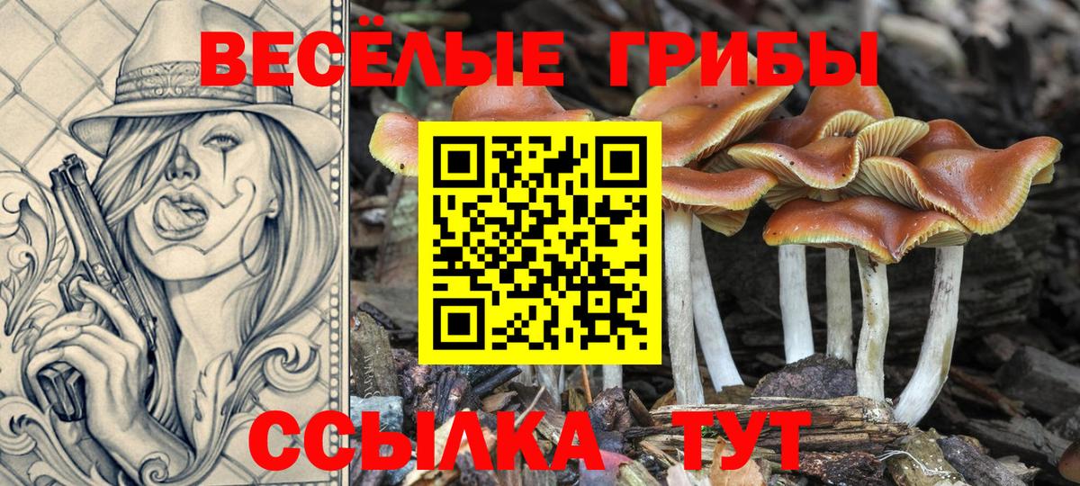 Галлюциногенные грибы мицелий  Псилоцибиновые грибы Psilocybine cubensis  Вход с VPN  Нягань 