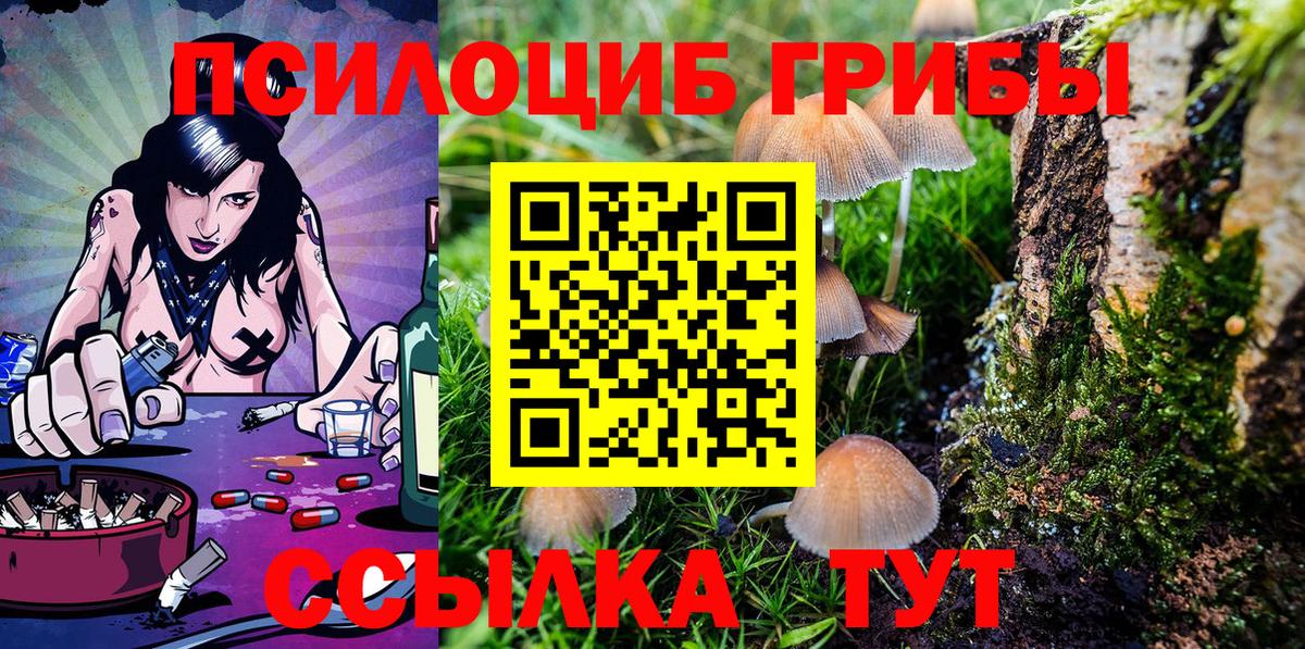 Галлюциногенные грибы Psilocybine cubensis Нягань